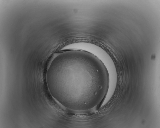 X0000094370512200711091541