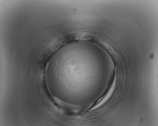 X0000094370513200711091541