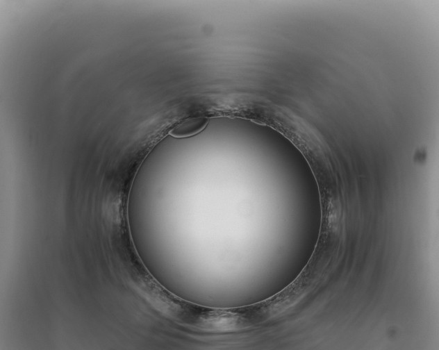 X0000094370514200711091541