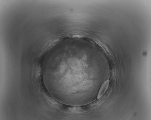 X0000094370517200711091541