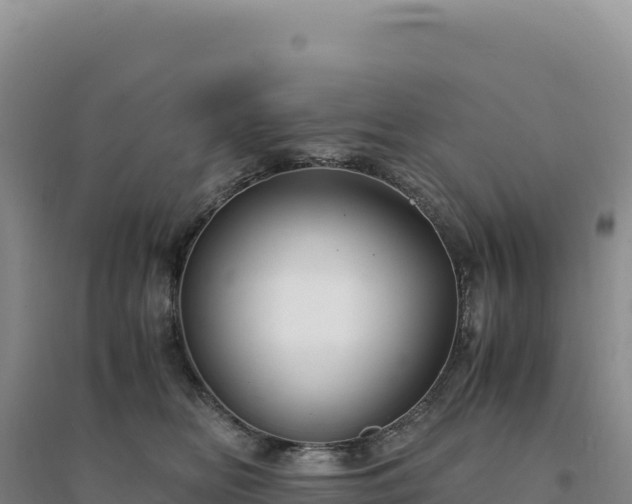 X0000094370518200711091541