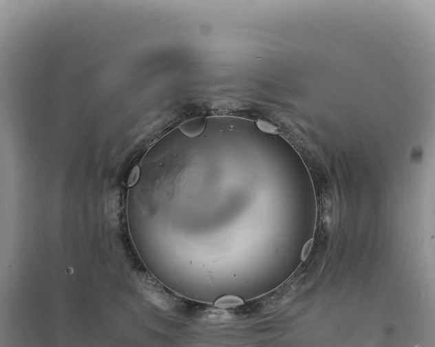 X0000094370519200711091541