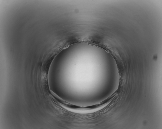 X0000094370521200711091541