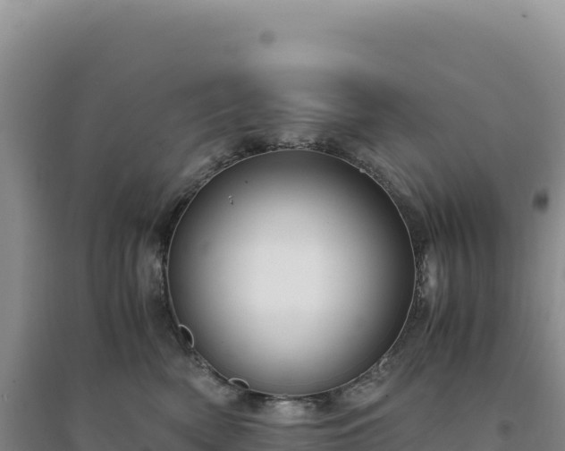 X0000094370522200711091541