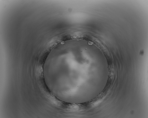X0000094370523200711091541