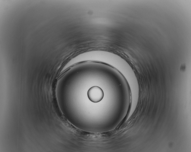 X0000094370524200711091541