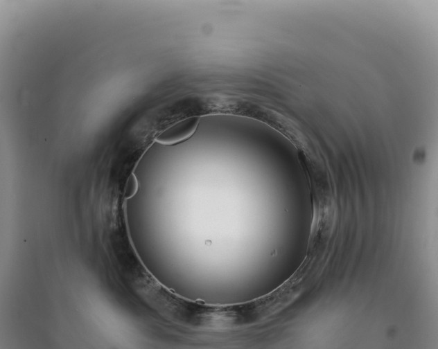 X0000094370525200711091541