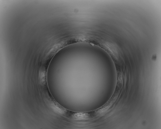 X0000094370526200711091541