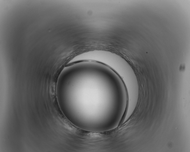X0000094370528200711091541
