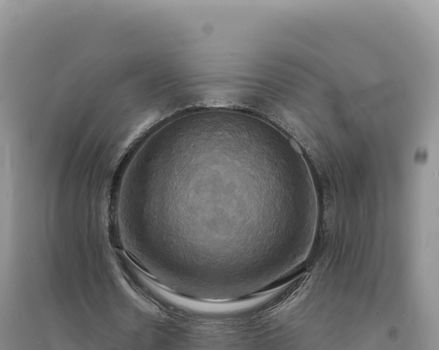 X0000094370530200711091540