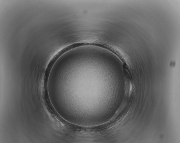 X0000094370532200711091540