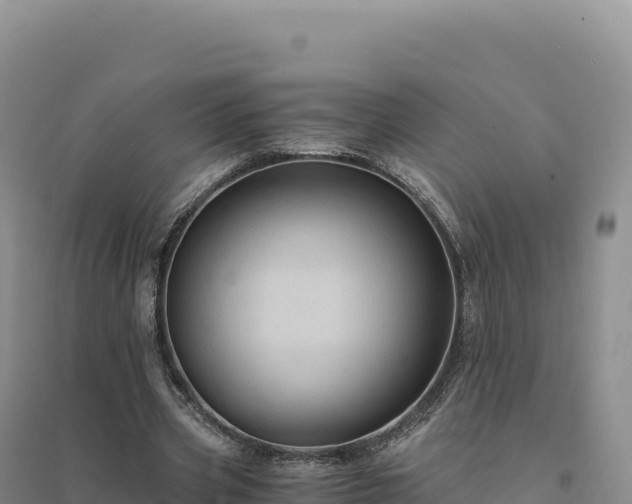 X0000094370533200711091540