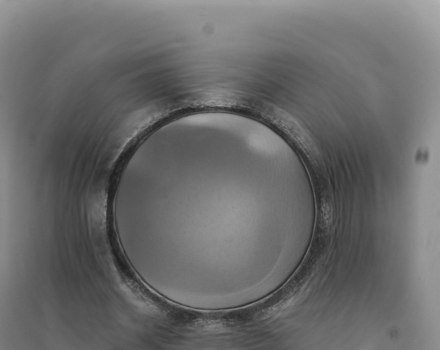 X0000094370534200711091540