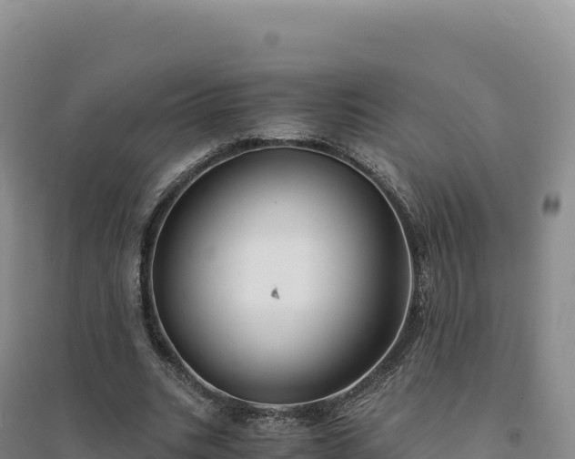 X0000094370535200711091540