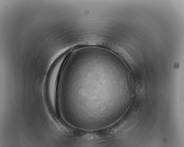 X0000094370536200711091540