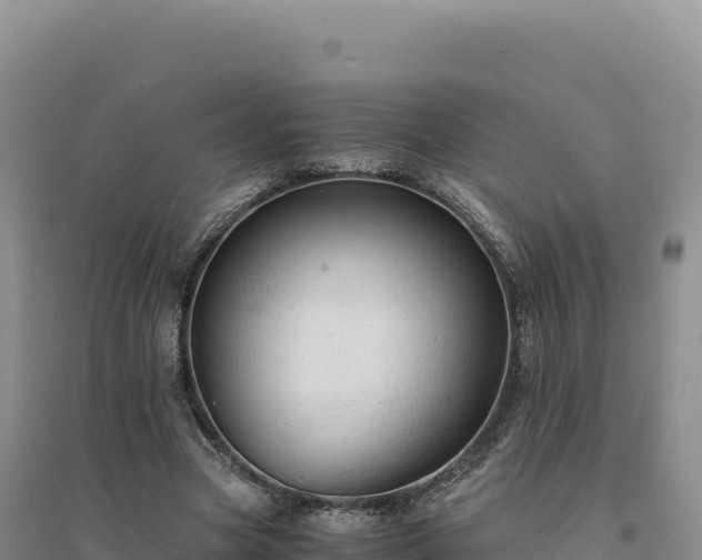 X0000094370537200711091540