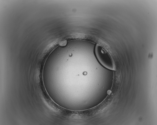 X0000094370538200711091540