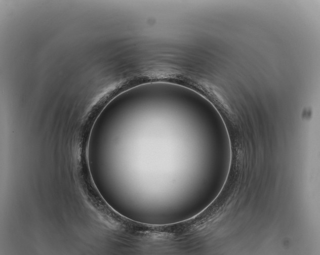 X0000094370539200711091540