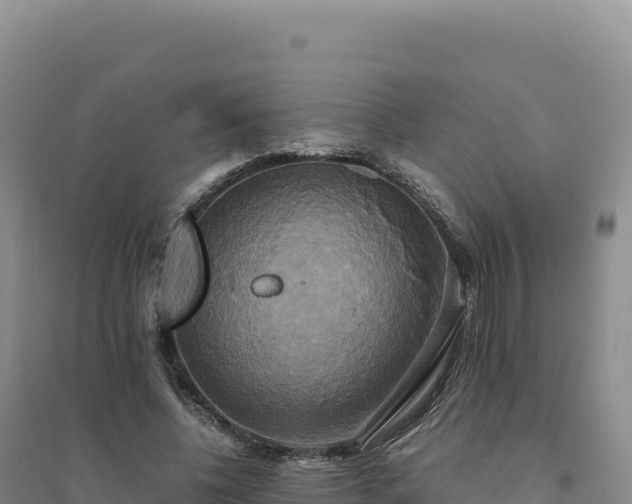 X0000094370540200711091540