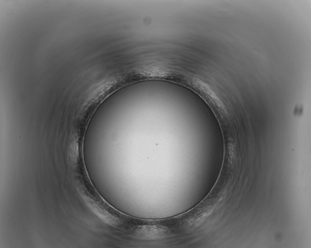 X0000094370541200711091540
