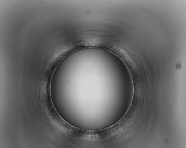 X0000094370543200711091540