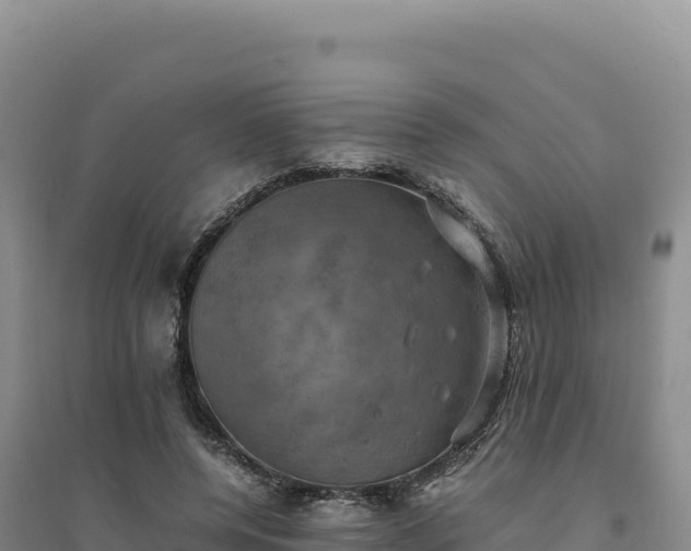 X0000094370544200711091540