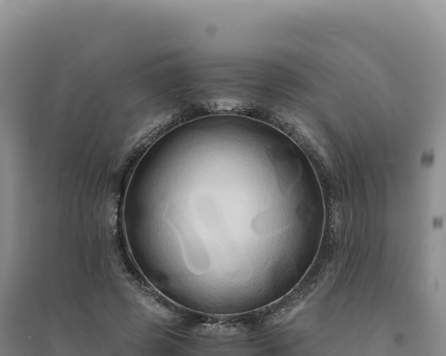 X0000094370545200711091540