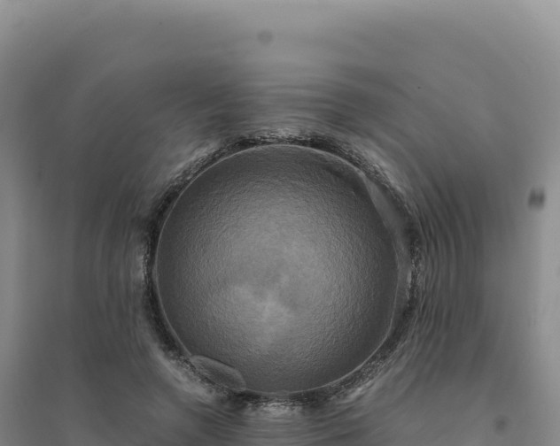 X0000094370546200711091540