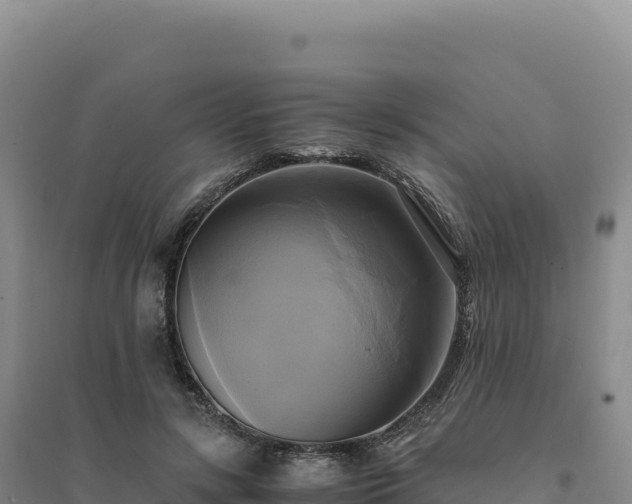 X0000094370547200711091540
