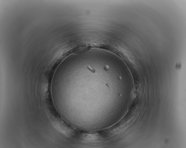 X0000094370548200711091540
