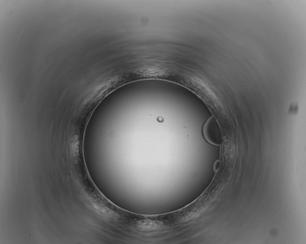 X0000094370549200711091540