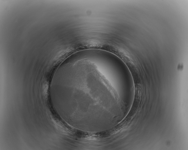 X0000094370550200711091540