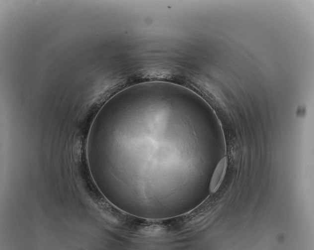X0000094370551200711091540