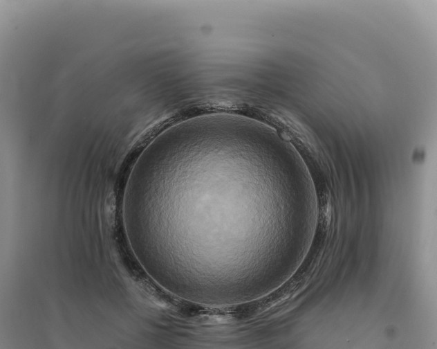 X0000094370552200711091540