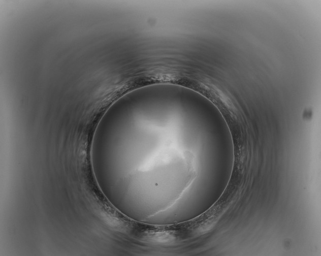 X0000094370553200711091540