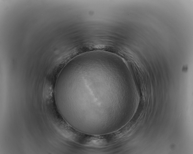 X0000094370555200711091540