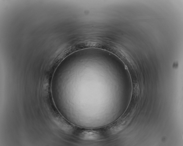 X0000094370557200711091540