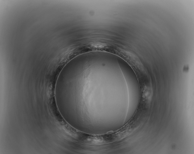 X0000094370559200711091540