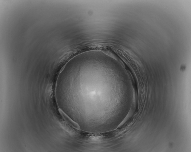 X0000094370560200711091540