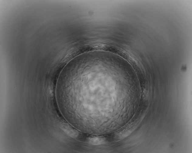 X0000094370561200711091540