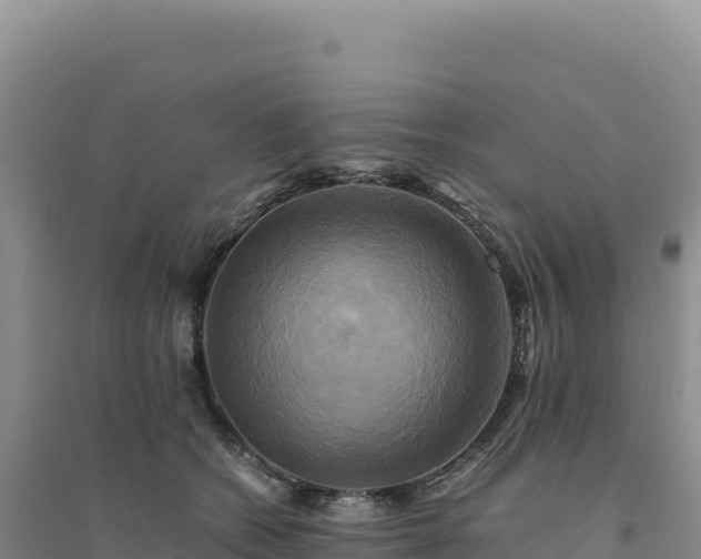 X0000094370562200711091540