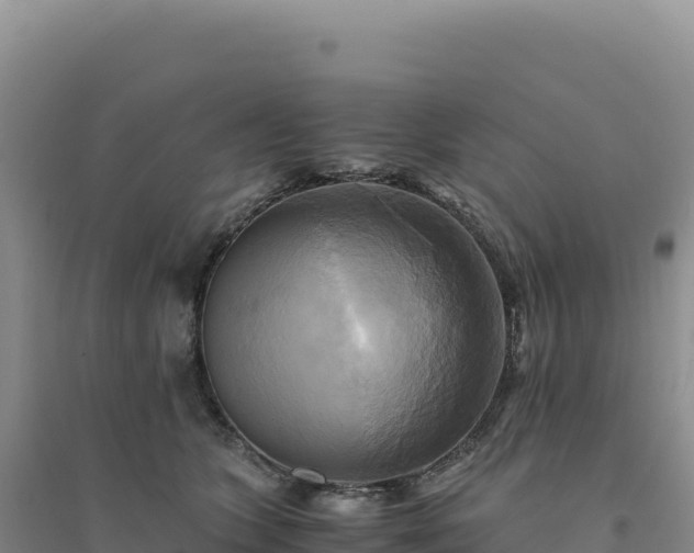 X0000094370563200711091540