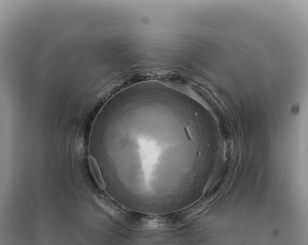 X0000094370564200711091540