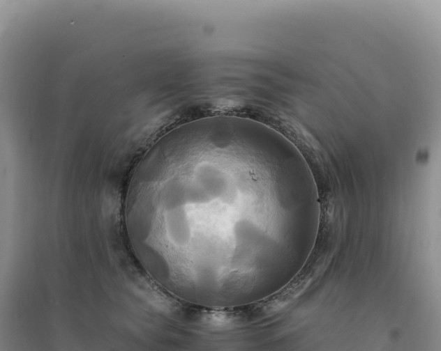 X0000094370565200711091540