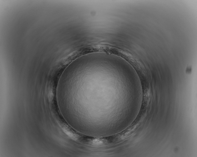 X0000094370566200711091540