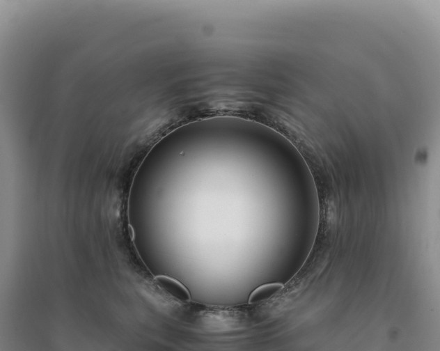 X0000094370567200711091540