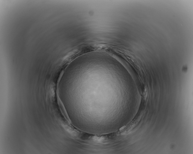 X0000094370570200711091540