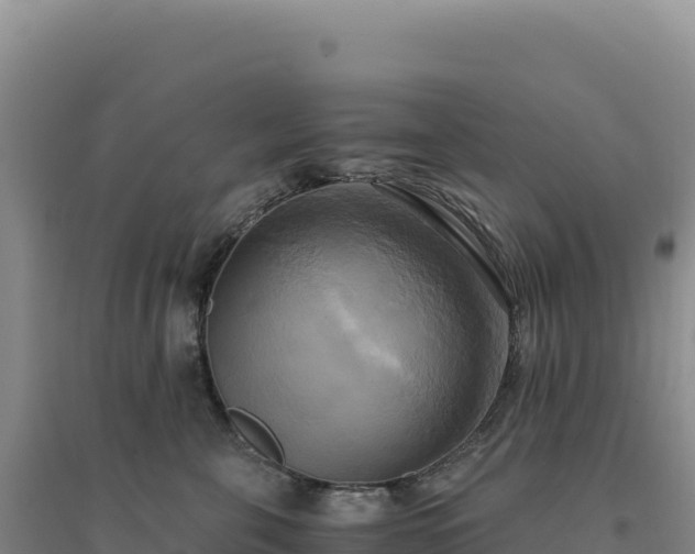 X0000094370571200711091540