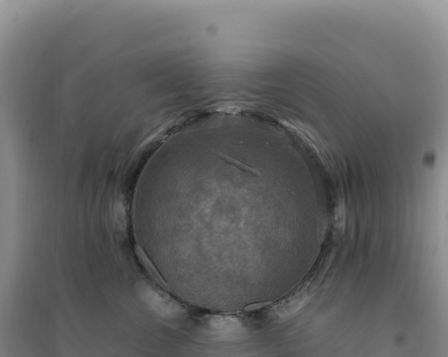 X0000094370572200711091540