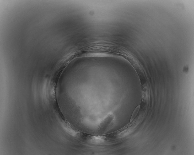 X0000094370573200711091541